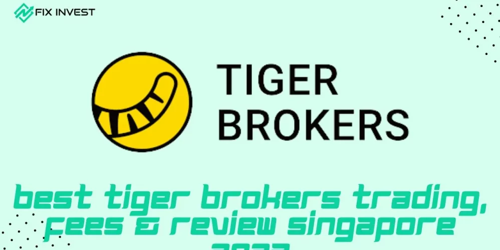Best Tiger Brokers Trading, Fees & Review Singapore 2023